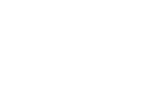 Gearbox Software